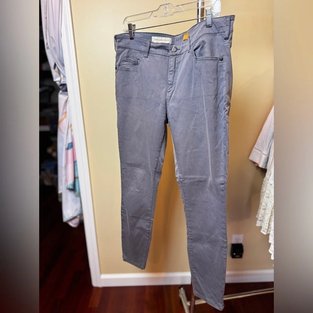 Pilcro & the Letterpress Gray Skinny Jeans Size 32 Ankle Zip Anthropologie